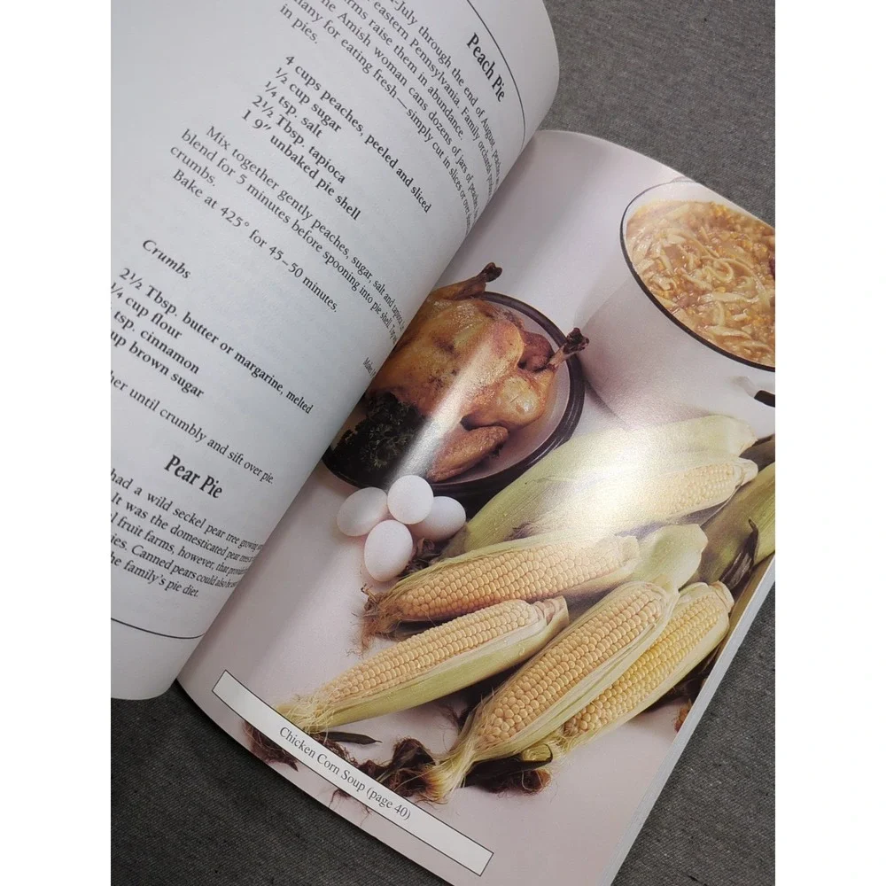 1996 The Best Of Amish Cooking Phyllis Pellman Good VTG Trade Paperback Cookbook